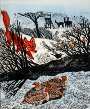 Rebhühner Rebhühner und Fuchs